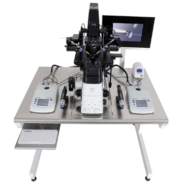 Antivibration Table LFM 75 2G with SOTO device