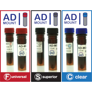 Advanced microscopy sample preparation - mounting media and spacers