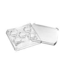 5-Well Dish Round Edges - with lid Square 5-Well Dish Round Edges