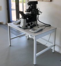 Antivibration table with central position for the microscope
